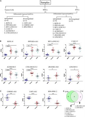 Identification of lncRNAs Associated With Neuroblastoma in Cross-Sectional Databases: Potential Biomarkers